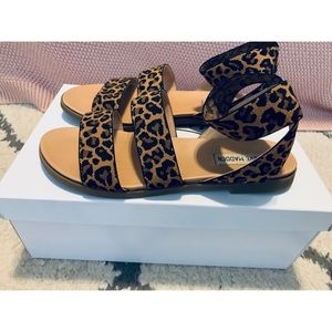 Steve Madden Effie Leopard Sandals